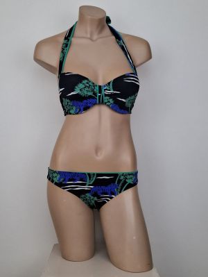 Eclipse tiger chlorophy